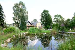 Naturteich im Garten